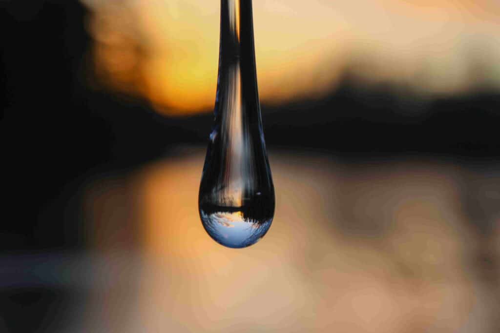 Demystifying Raindrop Therapy: A Holistic Healing Experience